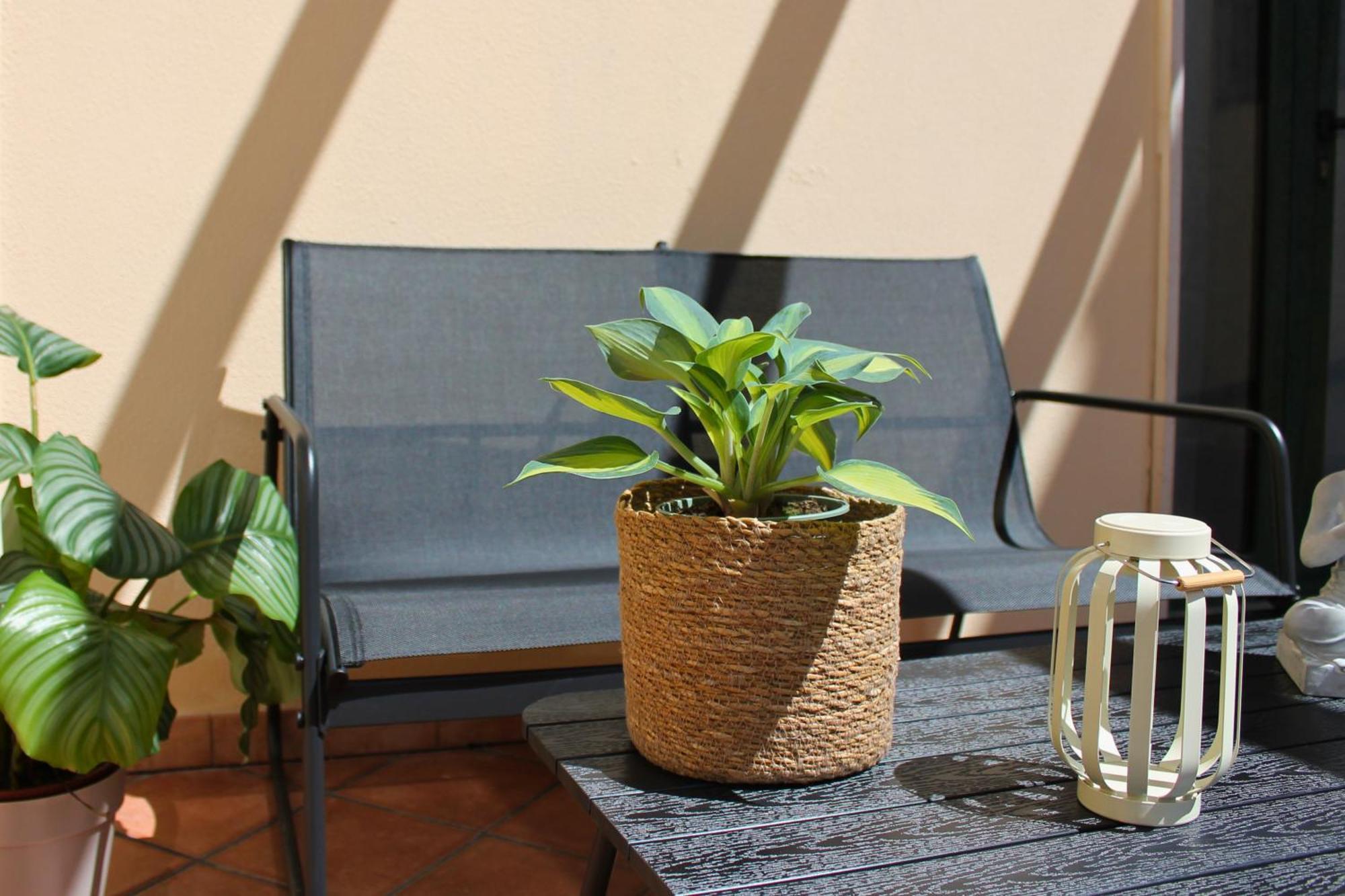 Dimidium Apartment Guspini Esterno foto